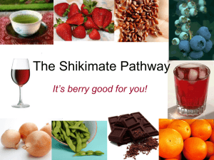 The Shikimate Pathway It’s berry good for you!