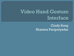 Video Hand Gesture Interface