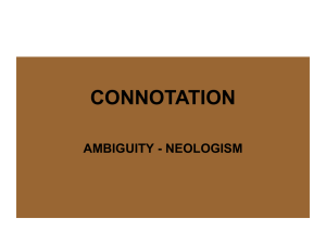 CONNOTATION AMBIGUITY - NEOLOGISM