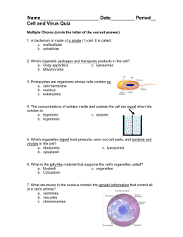 virus quiz cell theory studylib