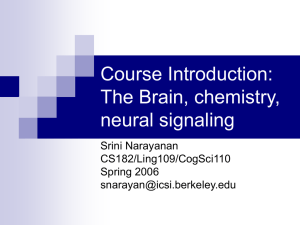 Course Introduction: The Brain, chemistry, neural signaling Srini Narayanan