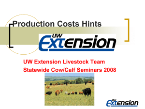 Beef Cow-Calf Production Costs 2008 (41 slides, 5925 KB .ppt)