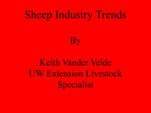 Sheep Inventory 2000 (15 slides, 546 KB .ppt)