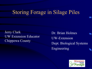 Storing Forage in Piles