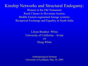 Anthropology and Structural Cohesion: Theory and Four Ethnographic Examples