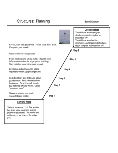 Structures:  Planning Bone Diagram Desired State