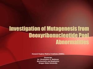 Investigation of Mutagenesis from Deoxyribonucleotide Pool Abnormalities