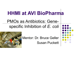 HHMI at AVI BioPharma PMOs as Antibiotics: Gene- E. coli