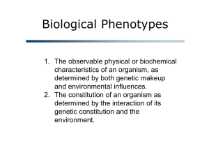 Biological Phenotypes