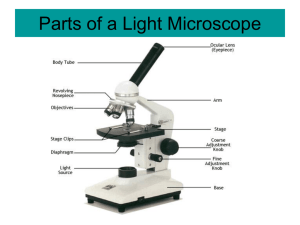 Parts of a Light Microscope