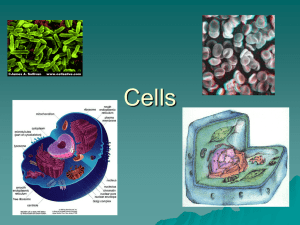 Intro. to cells