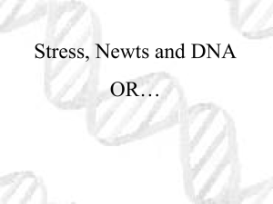 Stress, Newts and DNA OR…