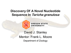 Taricha granulosa Discovery Of A Novel Nucleotide Sequence In David J. Stanley