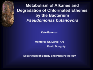 Metabolism of Alkanes and Degradation of Chlorinated Ethenes by the Bacterium Pseudomonas butanovora