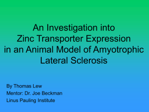 An Investigation into Zinc Transporter Expression in an Animal Model of Amyotrophic
