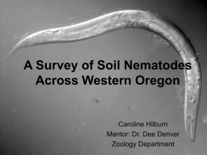 A Survey of Soil Nematodes Across Western Oregon Caroline Hilburn