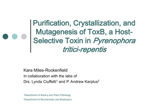 Pyrenophora tritici-repentis Purification, Crystallization, and Mutagenesis of ToxB, a Host-