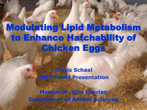 Modulating Lipid Metabolism to Enhance Hatchability of Chicken Eggs Travis Schaal