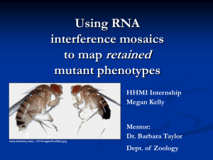 retained Using RNA interference mosaics to map