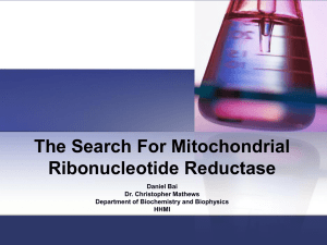 The Search For Mitochondrial Ribonucleotide Reductase Daniel Bai Dr. Christopher Mathews
