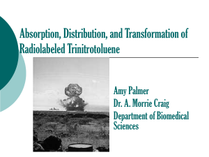 Absorption, Distribution, and Transformation of Radiolabeled Trinitrotoluene Amy Palmer Dr. A. Morrie Craig