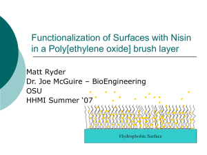 Functionalization of Surfaces with Nisin in a Poly[ethylene oxide] brush layer