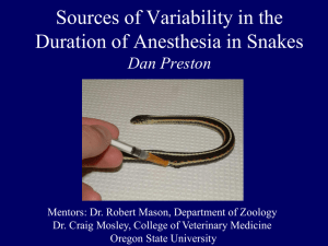 Sources of Variability in the Duration of Anesthesia in Snakes Dan Preston