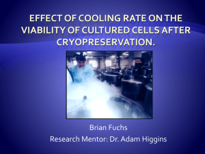 Brian Fuchs Research Mentor: Dr. Adam Higgins