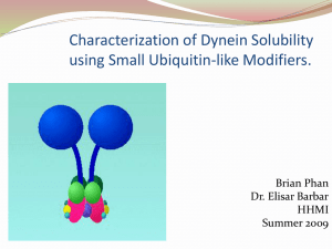 Characterization of Dynein Solubility using Small Ubiquitin-like Modifiers. Brian Phan Dr. Elisar Barbar
