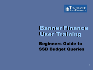 Banner Finance User Training Beginners Guide to SSB Budget Queries