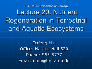 Lecture 20: Nutrient Regeneration in Terrestrial and Aquatic Ecosystems Dafeng Hui