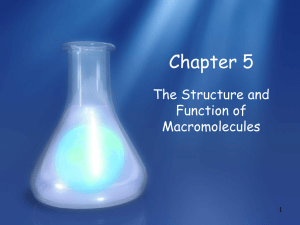 The Structure Function of Molecules