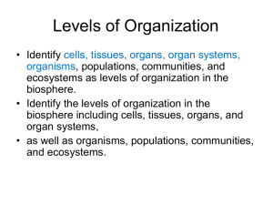 Levels of Organization PP