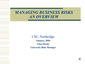 Managing Business Risks-Engineering