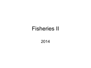 Fisheries slides