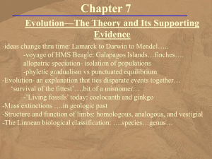 Chapter 7 - Evolution