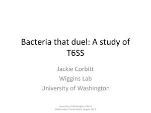 Bacteria that duel