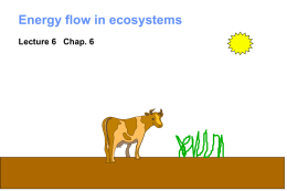 What is the source of energy for chemosynthesis?