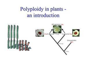 Overview of polyploidy
