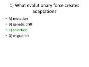 1) What evolutionary force creates adaptations • A) mutation • B) genetic drift