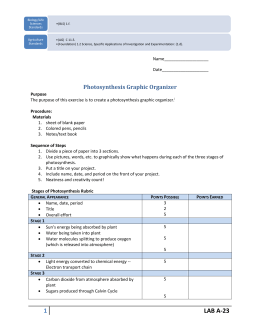 essay on generic conventions and context clues