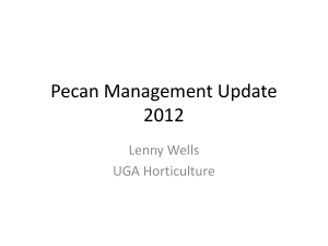2012 County Meeting Pecan Management Update