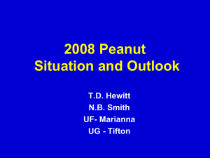 2008 Peanut Situation and Outlook T.D. Hewitt N.B. Smith