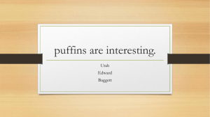 puffins are interesting. Utah Edward Baggett