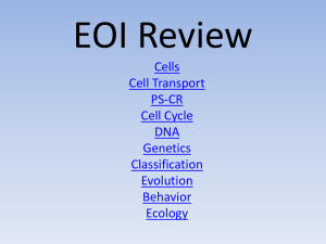 Copy of EOI review-2014-luv