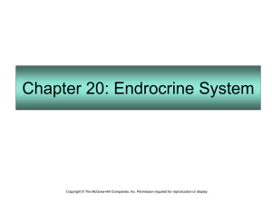 5.9.05 Endocrine and Reproduction