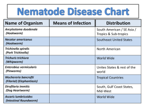 Nematoda_disease