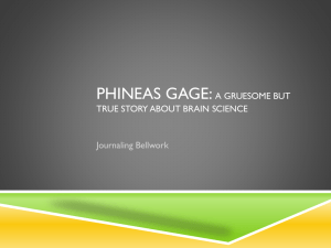 PHINEAS GAGE: A GRUESOME BUT TRUE STORY ABOUT BRAIN SCIENCE Journaling Bellwork