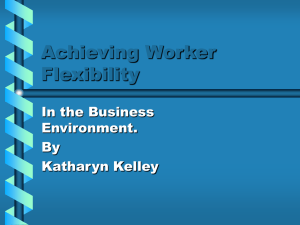 Achieving Worker Flexibility In the Business Environment.