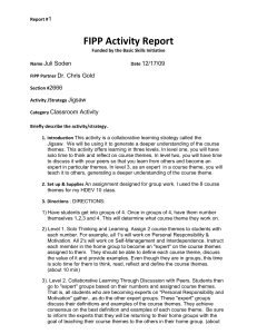 FIPP Activity Report 1 Juli Soden 12/17/09